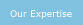 Our Expertise
